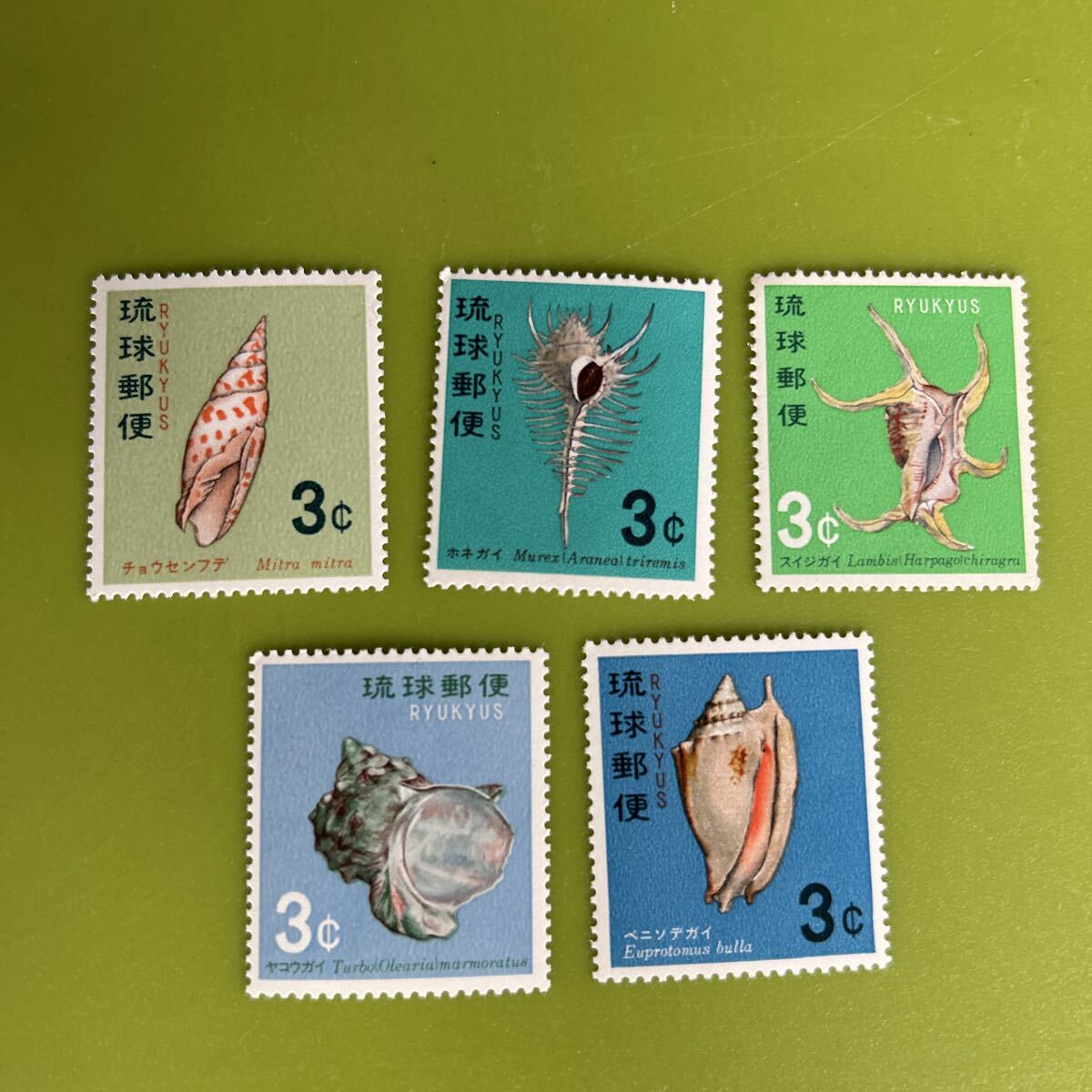 ★未使用 琉球切手 貝シリーズ 1967年〜1968年 昭和42年〜昭和43年 チョウセンフデ ホネガイ スイジガイ ヤコウガイベニソデガイ拍卖