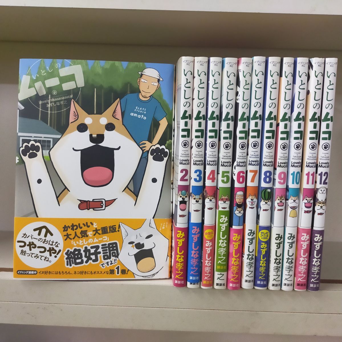 Set_B_20250825_001_いとしのムーコ コミック1-11巻 セット みずしな 孝之拍卖