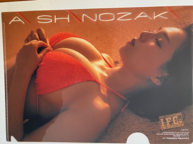 ◆即決◆ 篠崎愛 クリアファイル 48拍卖