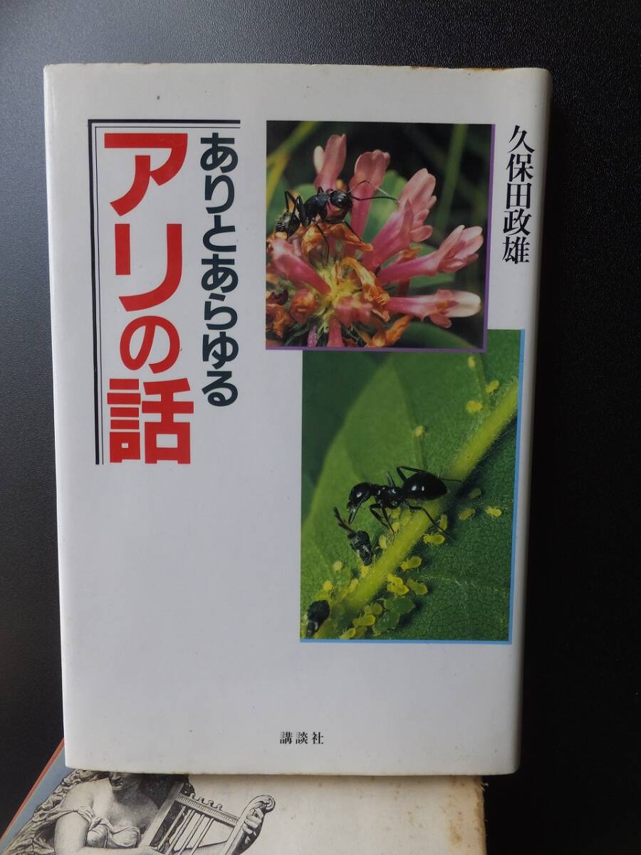 ありとあらゆる アリの話 久保田政雄拍卖