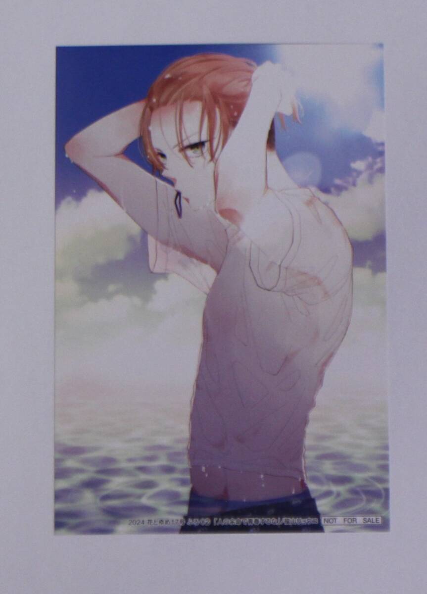 人の世名で青春するな 真夏のセクシーブロマイド 音士 花とゆめ 2024年17号付録【非売品】拍卖