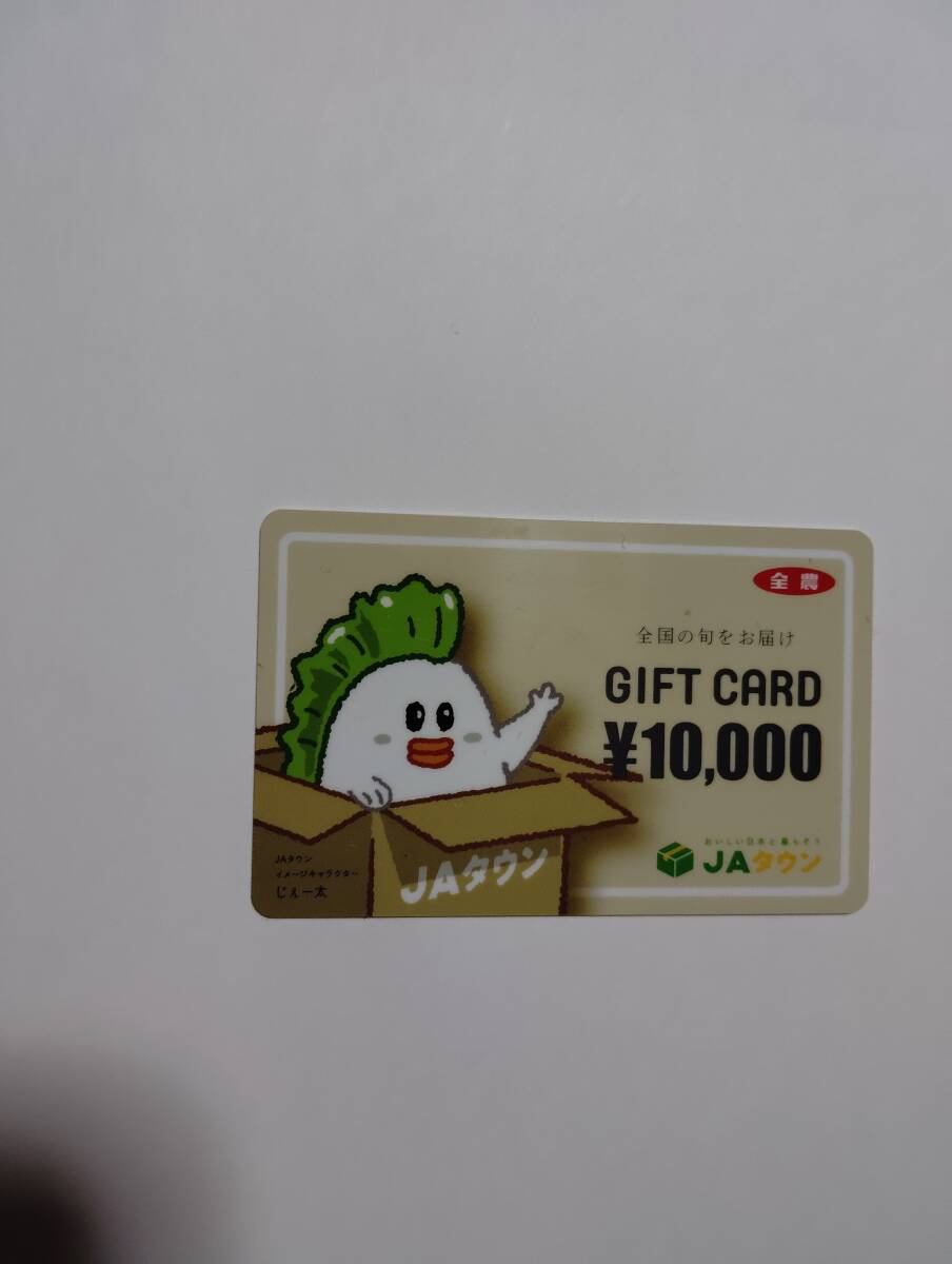ギフトカード 金券 商品券 ギフト券 タウンカード JA 10000円分 ショッピングカード JAタウン 全農 未使用 即決 拍卖