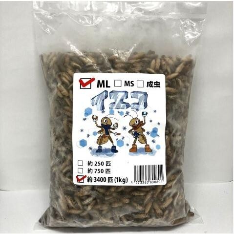 【送料無料・邑楽ファーム】【クール便発送】冷凍イエコオロギ MLサイズ 1kg(約3400匹入り)拍卖