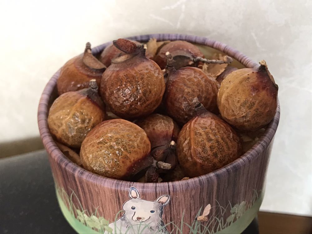 ムクロジの実◆25個◆種子・果皮付◎ リース 工作 自然素材 木の実 どんぐり マツボックリ◎無患子 縁起物 お守り 自由研究 ムクロジュ拍卖