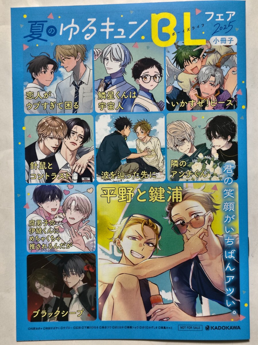 夏のゆるキュンBLフェア 2025 小冊子 針鼠とコントラスト 平野と鍵浦 恋人がウブすぎて困る 美品拍卖