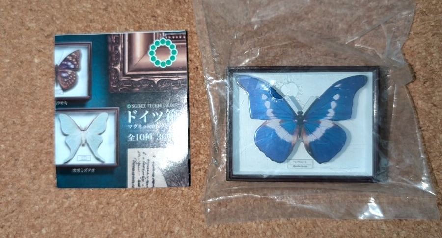 サイエンステクニカラー ドイツ箱 マグネットコレクション 1 ヘレナモルフォ拍卖