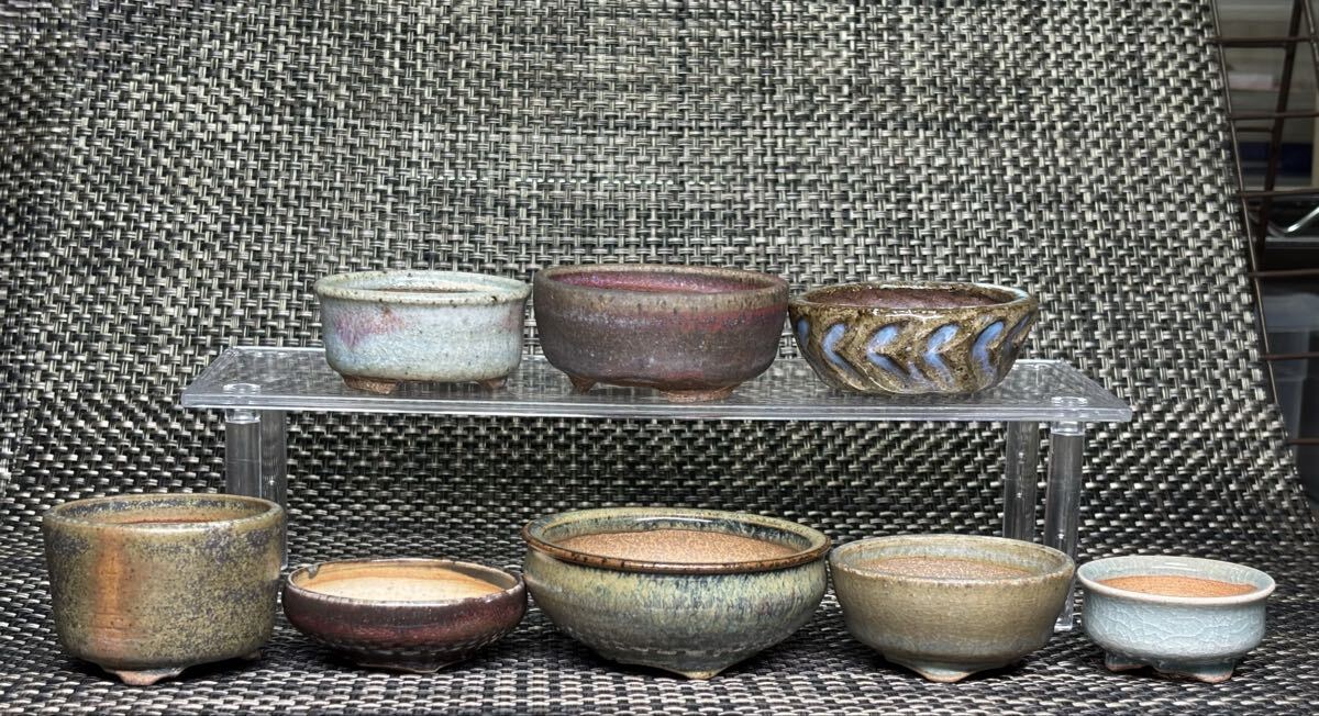 一蒼 ミニ盆栽鉢 8個セット(検索 小品 ミニ 豆鉢 豆 鉢 盆栽 宗像 宗像一蒼 盆栽鉢 銘 拍卖