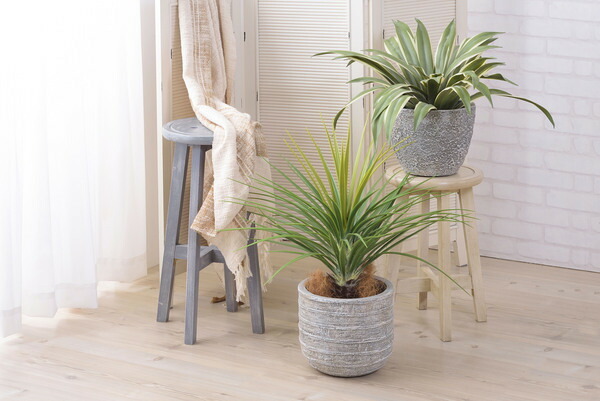 【グリーンベース】 ベース 入れ物 観葉植物入れ 飾り 植木鉢 インテリア インテリア雑貨 室内 おしゃれ拍卖