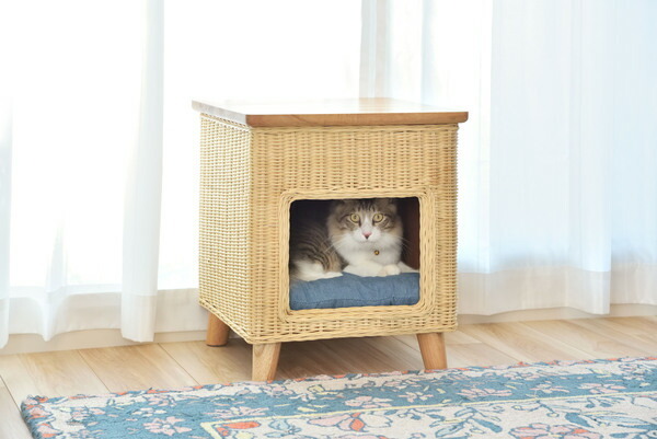 【ペットハウススツール】 スツール テーブル ペットハウス ペットベット 犬 猫 ペット クッション付き 脚付き 天板付き 天然木 木製拍卖