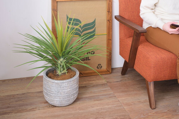 【グリーンベース】 ベース 入れ物 観葉植物入れ 飾り 植木鉢 インテリア インテリア雑貨 室内 おしゃれ拍卖