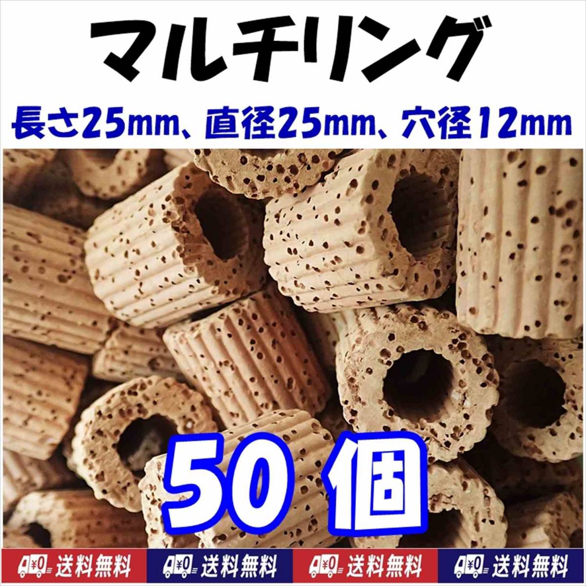 【送料込】マルチリング 50個 サンゴ・ウィローモス・ブセファランドラ等の水草活着用に シュリンプシェルター メダカ産卵床のオモリに拍卖