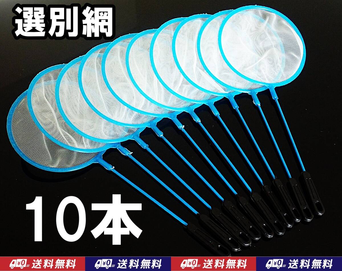 【送料込】選別網 10本  即決  メダカ シュリンプ オオミジンコ 金魚 錦鯉などの選別用に 密網ではありません ネット 10個 水槽用品拍卖