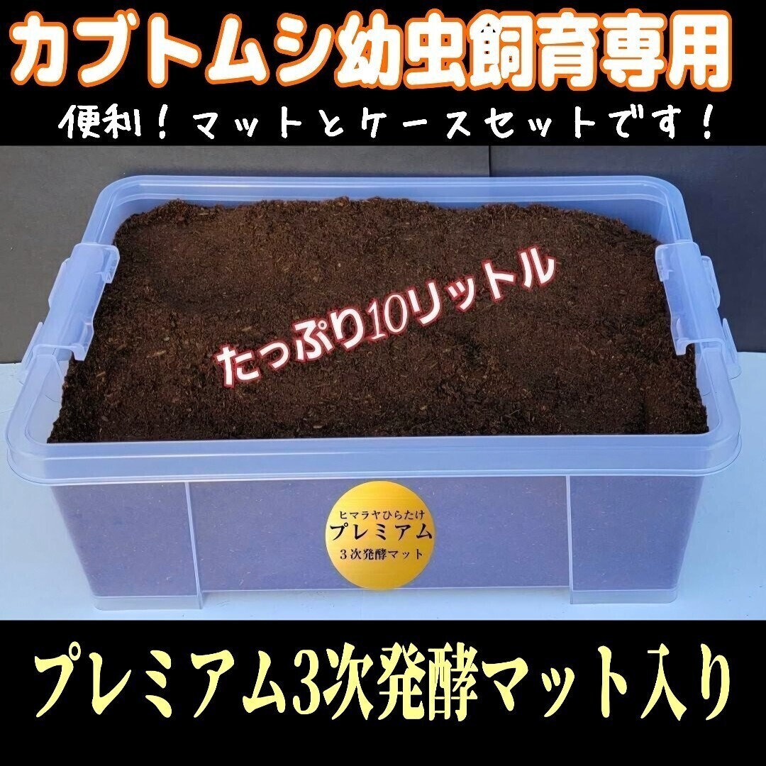 ケースにマットが入ってる! カブトムシ幼虫を入れるだけ便利! プレミアム3次発酵マット 10リットルBOX 栄養添加剤配合で大きくなる拍卖