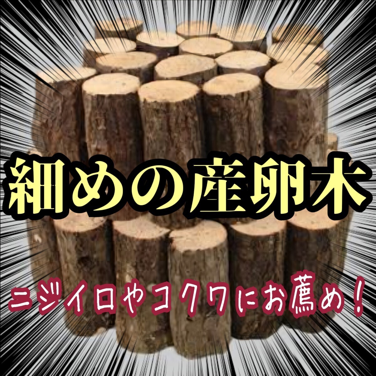 産卵木 細め クヌギ材 ニジイロクワガタ、コクワにお薦め! 細いので菌糸回りが良く芯がない! 入手困難貴重な上物ハイグレードタイプ拍卖