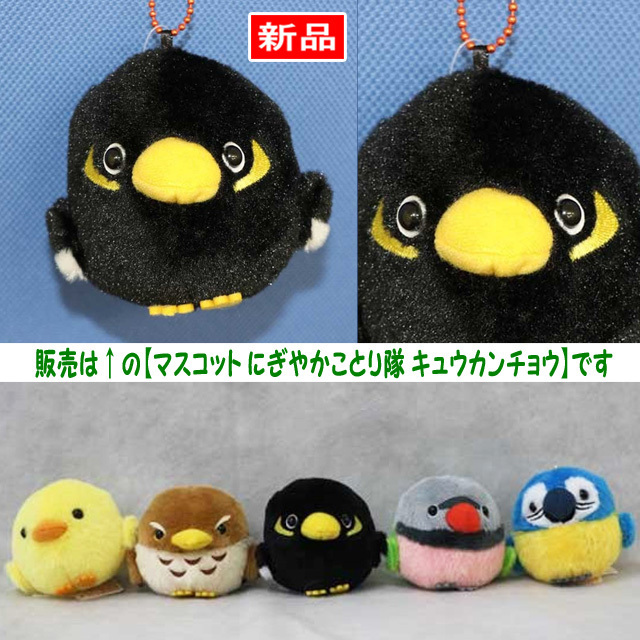 【送料無料/即決】マスコット 鳥 にぎやかことり隊 キュカンチョウ 九官鳥 黒 1個 ボールチェーン付 アミューズ 1014拍卖