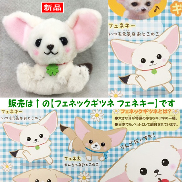 【送料無料/即決】マスコット キツネ フェネックギツネのフェネキー 白wよつば 1個 ボールチェーン付 アミューズ 518拍卖