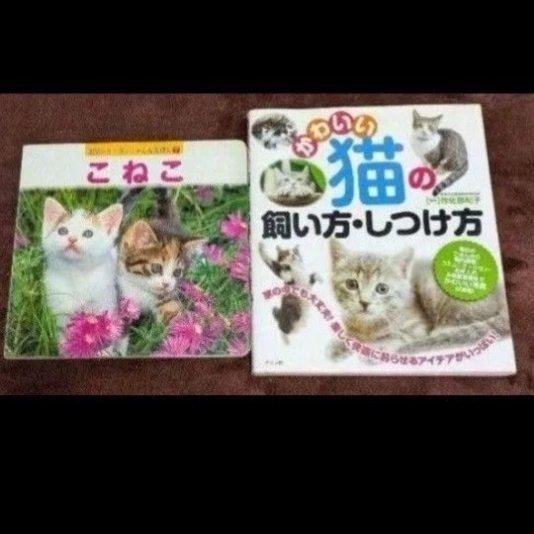 かわいい猫の飼い方・しつけ方 作佐部 紀子 しゃしんえほん こねこ 内山 晟拍卖