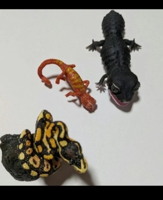 ガチャガチャ カメレオン ボールパイソン ブラックナイト拍卖
