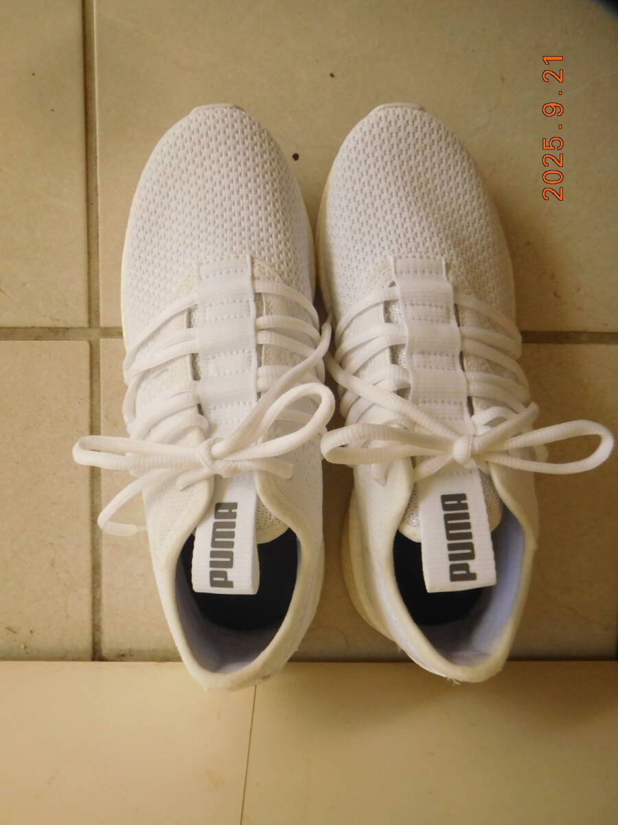 2015 Puma シューズ 未使用拍卖