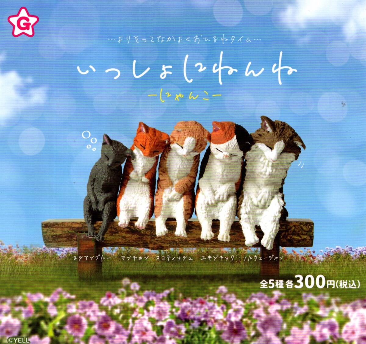 ★★★【送料込み】即決!いっしょにねんね にゃんこ 全5種 猫/ねこ/ネコ/ロシアンブルー/マンチカン/スコティッシュ/エキゾチック/ガチャ★拍卖