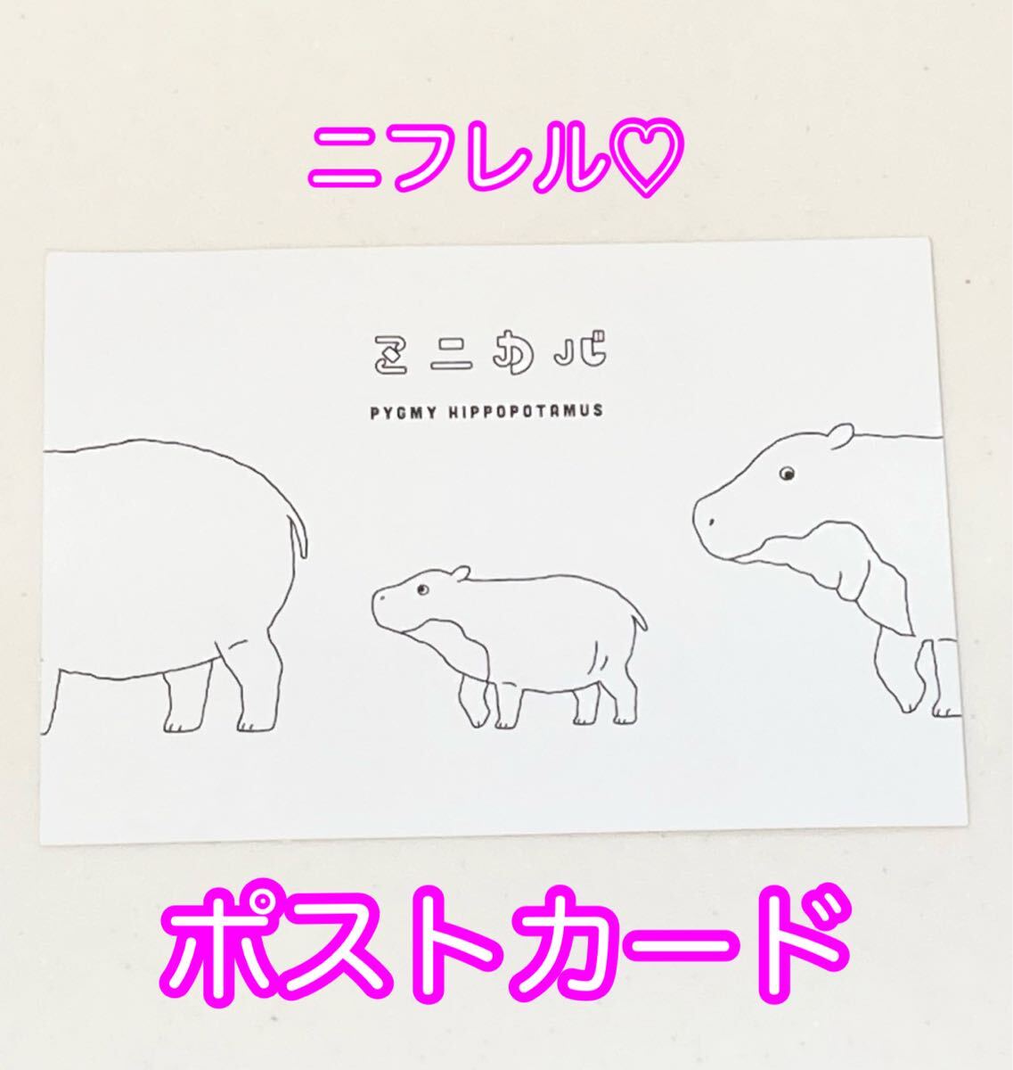 ニフレルポストカード拍卖