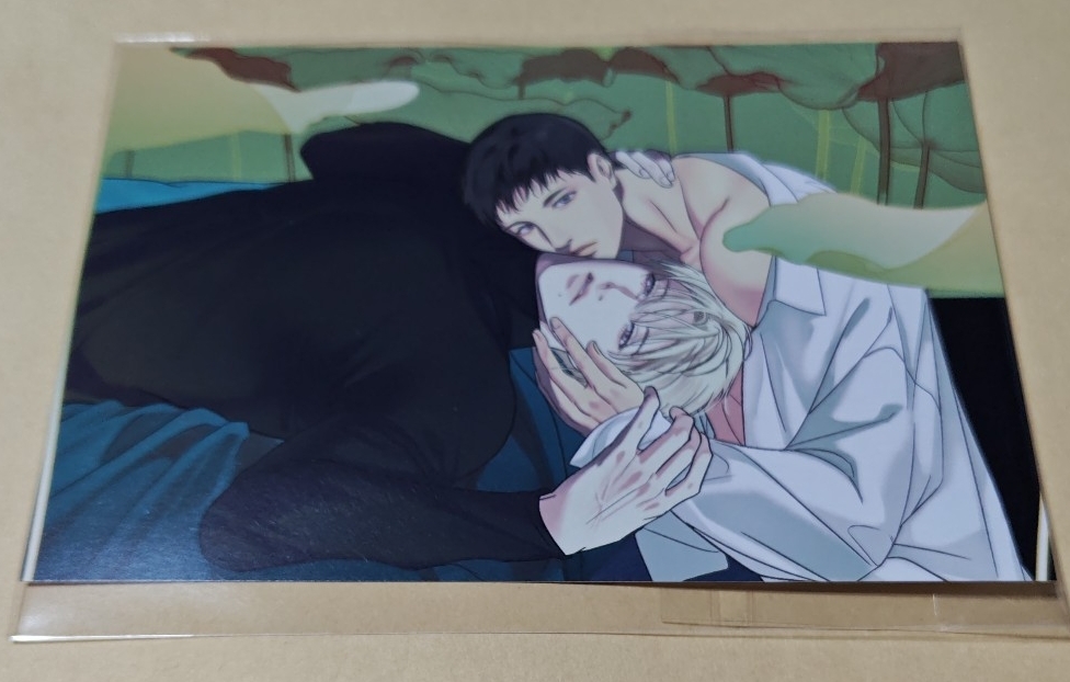 ベルトゥーン BeL TOON J庭57 配布イラストカード Backlight バックライト 韓国BL拍卖