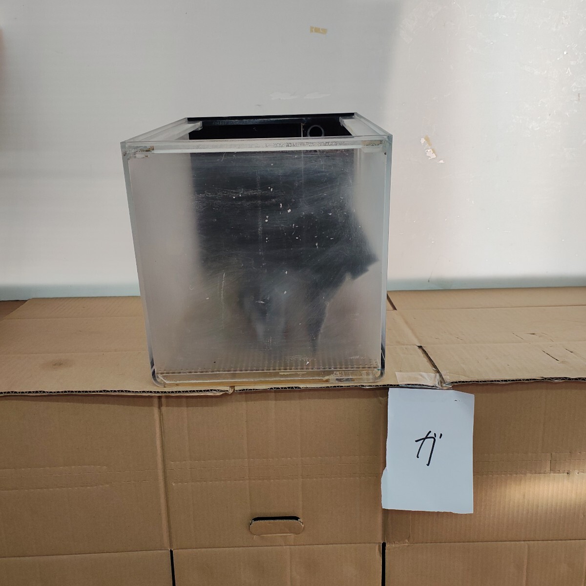 ガ 中古 アクリル水槽 オーバーフロー水槽 幅29×奥行38.5×高さ30㎝ 底面パンチングボードフィルター ボールバルブ ドレンパイプ付き拍卖