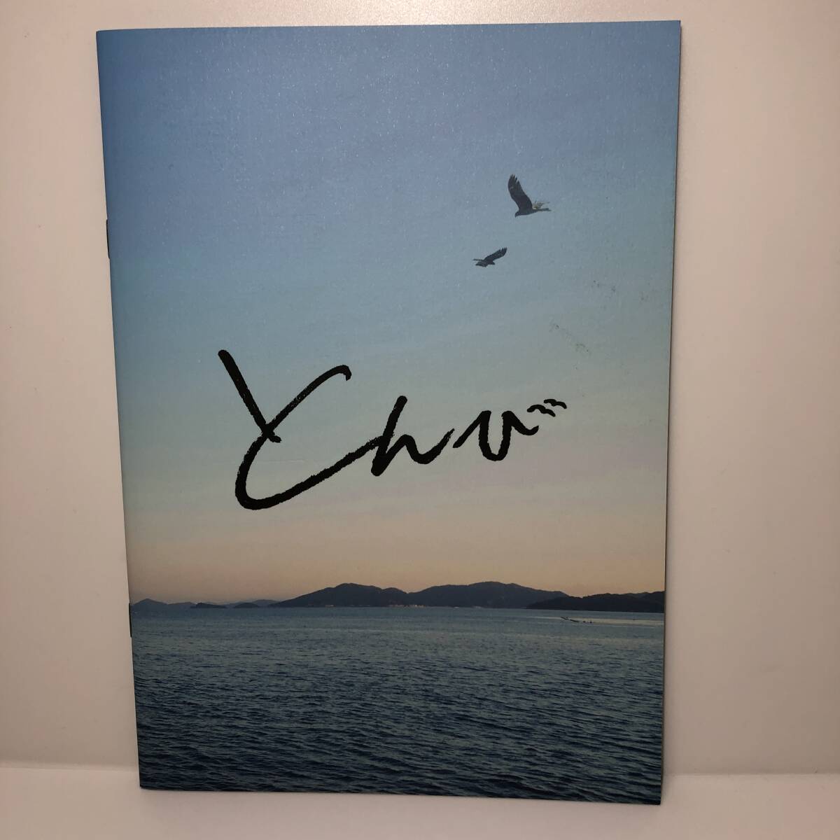 映画パンフレット★【とんび】パンフ★2022年瀬々敬久 阿部寛 北村匠海 杏 安田顕 大島優子 濱田岳 宇梶剛士 尾美としのり 吉岡睦雄拍卖