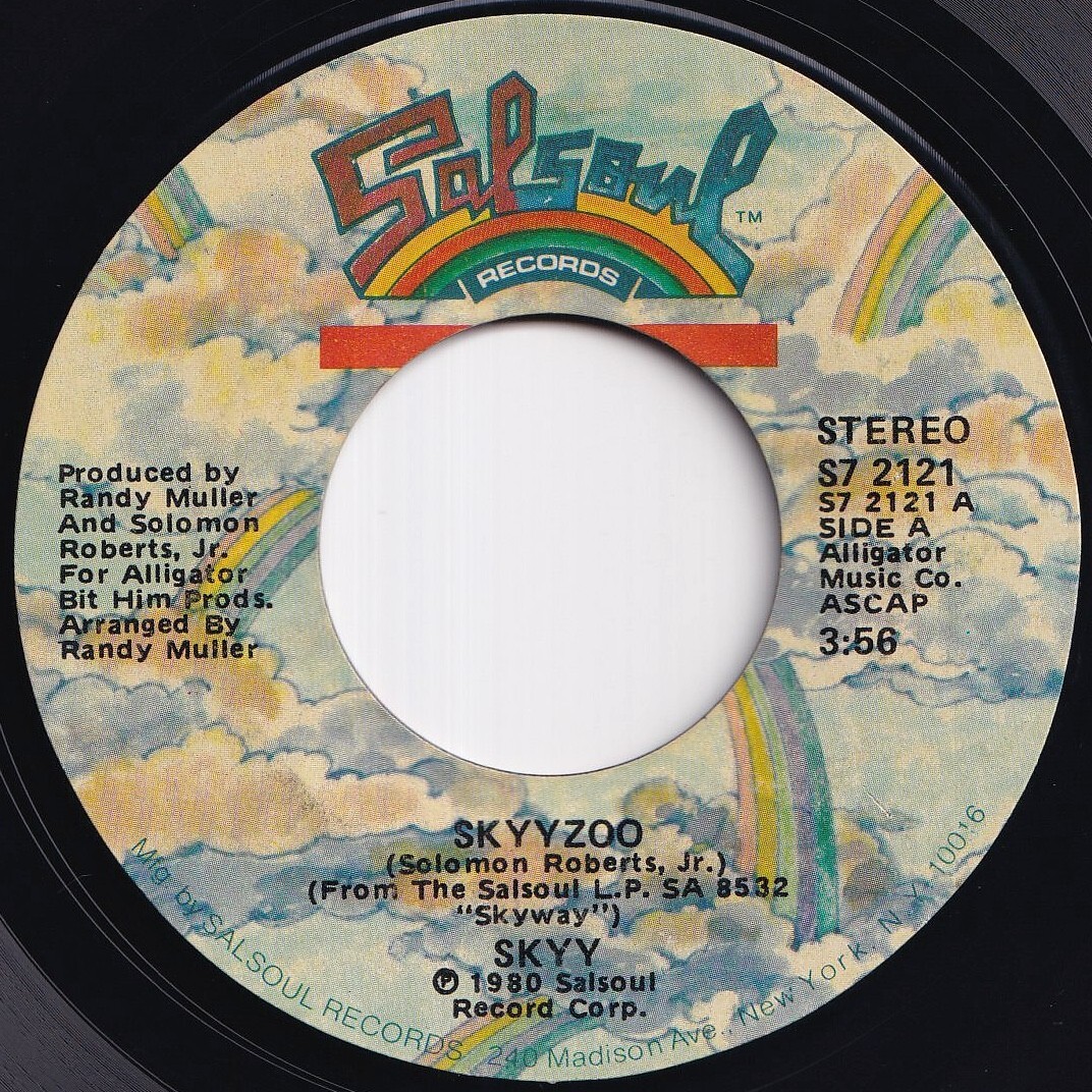 Skyy Skyyzoo / Don't Stop Salsoul US S7 2121 212330 SOUL DISCO ソウル ディスコ レコード 7インチ 45拍卖