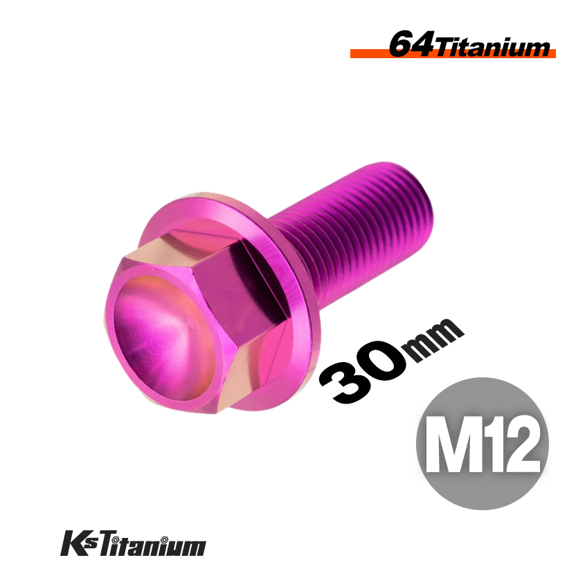 チタンボルト M12×30 スレッド25mm P1.25 フランジボルト パープル 1本売り 64チタン M12 バイク レストア パーツ拍卖