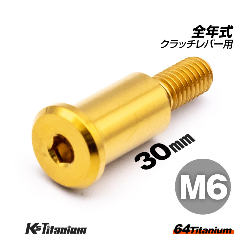 64チタン ホンダ クラッチレバー ピポットボルト M6×30 P1.0 ゴールド NSR250R 全年式 グロム CBR250RR MC51 CBR650R RH03 チタンボルト拍卖