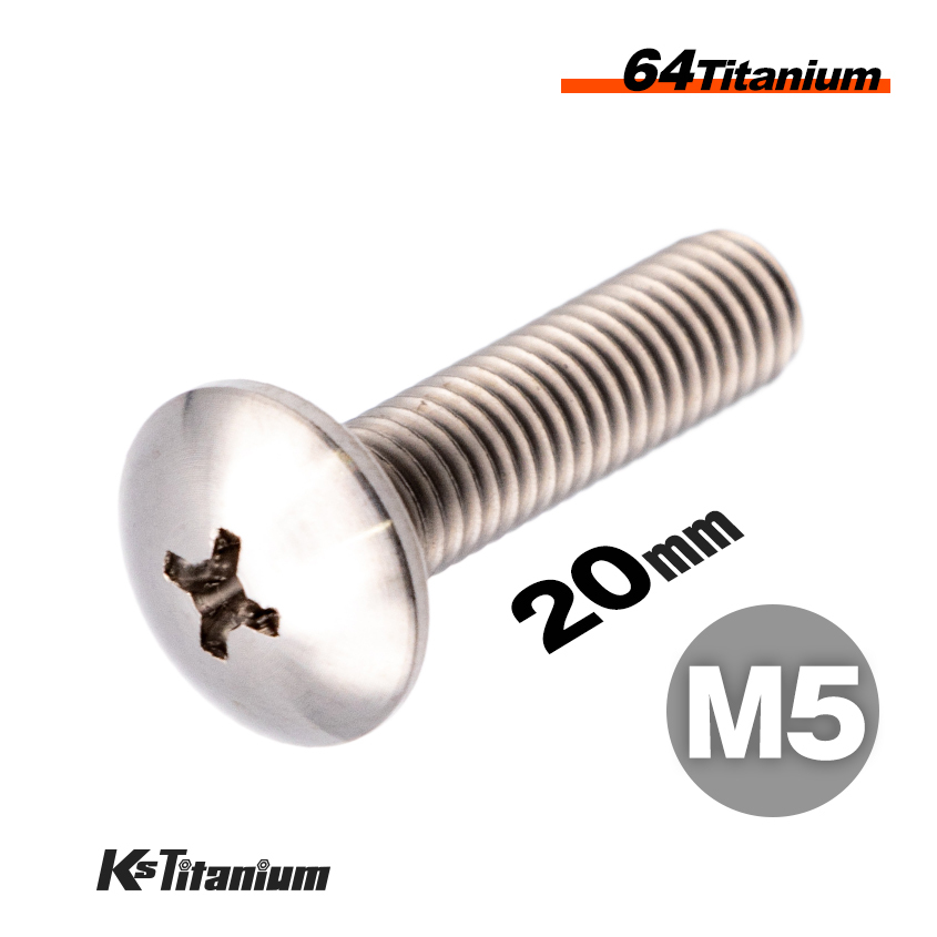 チタンボルト M5×20 全ネジ P0.8 シルバー 1本売り 64チタン トラスヘッドボルト 全ネジ バイク レストア パーツ拍卖