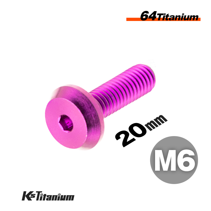 チタンボルト M6×20 P1.0 パープル 1本売り 64チタン テーパーヘッド ボタンボルト 全ネジ バイク レストア パーツ拍卖