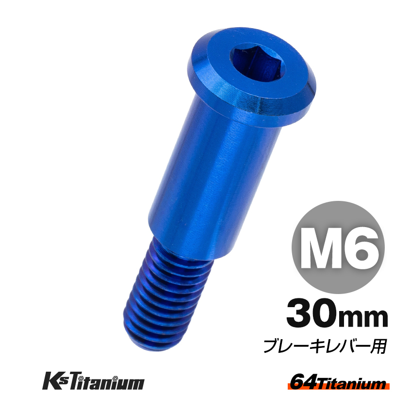 64チタン製 ブレーキレバー ピポットボルト M6×30 ブルー ホンダ CBR250RR MC51 NSR50 NSF100 等 チタンボルト拍卖