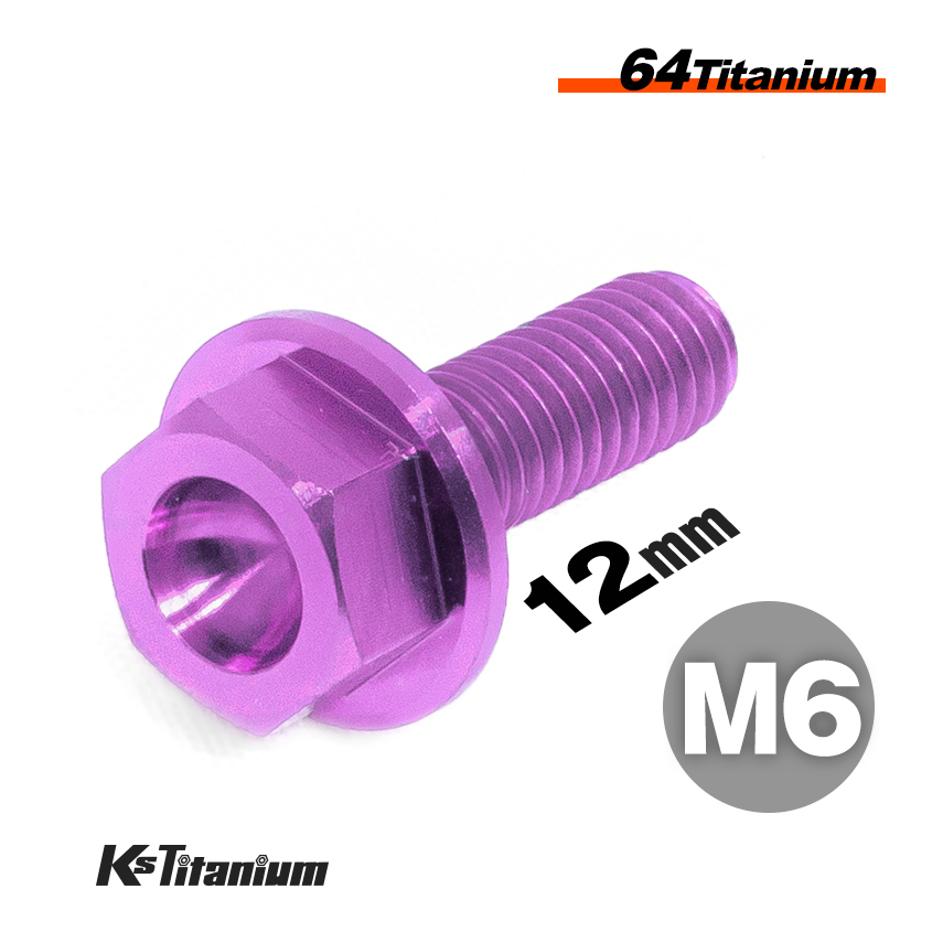 チタンボルト M6×12 P1.0 パープル 1本売り 64チタン フランジボルト スレッド FULL(全ネジ) バイク レストア パーツ拍卖