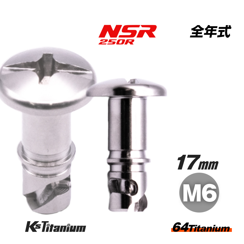 チタンボルト M6×14 シルバー 1本売り ホンダ NSR250 純正 カウル用 クイックファスナー バイク レストア パーツ サイドカウル 取付ボルト拍卖