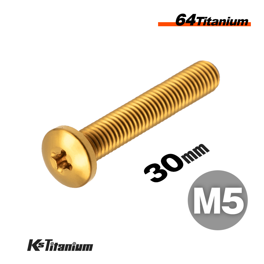 チタンボルト M5×30 P0.8 ゴールド 1本売り 64チタン バインドヘッドボルト 全ネジ バイク レストア パーツ拍卖