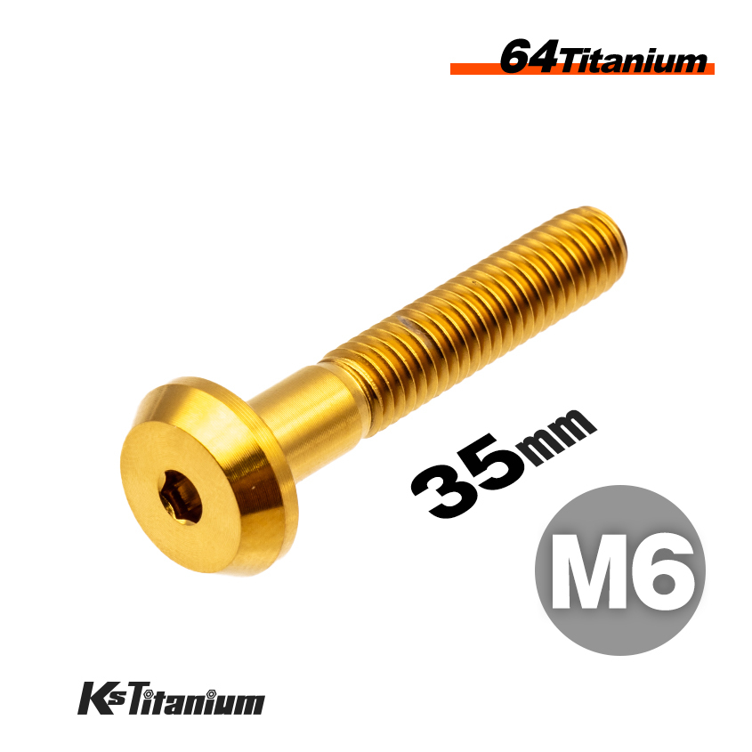 チタンボルト M6×35 スレッド25mm P1.0 テーパーヘッド ボタンボルト ゴールド 1本 64チタン M6 バイク レストア パーツ拍卖