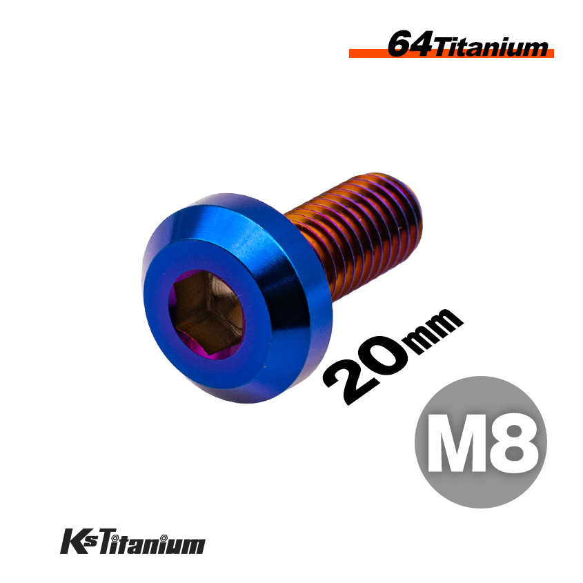 チタンボルト M8×20 全ネジ P1.25 テーパーヘッド ボタンボルト 焼き色 1本 64チタン M8 バイク レストア パーツ拍卖