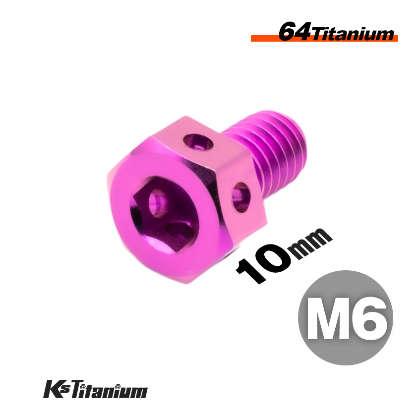 チタンボルト M6×10 P1.0 パープル 64チタン ワイヤーロック 六角ヘッドボルト オイルドレンボルト ワイヤリング フロントフォーク等に拍卖