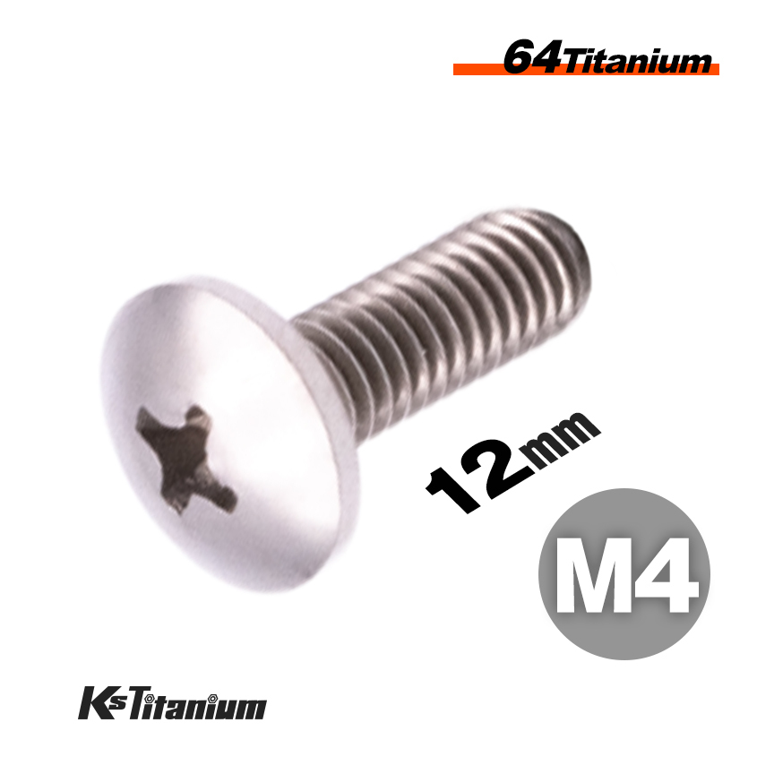チタンボルト M4×12 P0.7 シルバー 1本売り トラス ボルト 全ネジ バイク NSR250 センターカウル スクリーンセッティング レストア パーツ拍卖