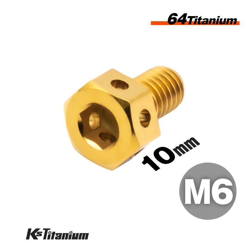 チタンボルト M6×10 P1.0 ゴールド 64チタン ワイヤーロック 六角ヘッドボルト オイルドレンボルト ワイヤリング フロントフォーク等に拍卖