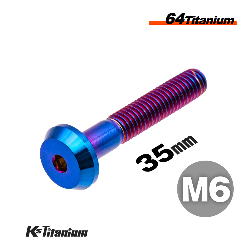 チタンボルト M6×35 スレッド25mm P1.0 テーパーヘッド ボタンボルト 焼き色 64チタン M6 バイク レストア パーツ拍卖
