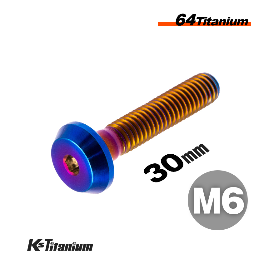 チタンボルト M6×30 スレッド25mm P1.0 テーパーヘッド ボタンボルト 焼き色 1本売り 64チタン M6 バイク レストア パーツ拍卖