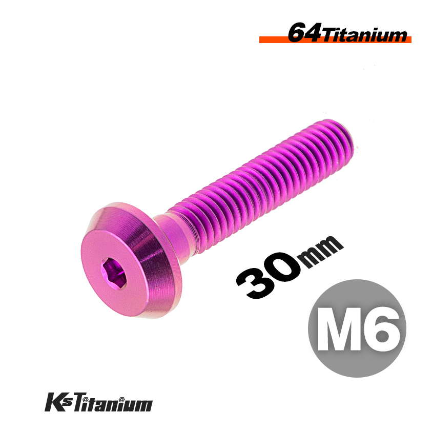 チタンボルト M6×30 スレッド25mm P1.0 テーパーヘッド ボタンボルト パープル 1本売り 64チタン M6 バイク レストア パーツ拍卖