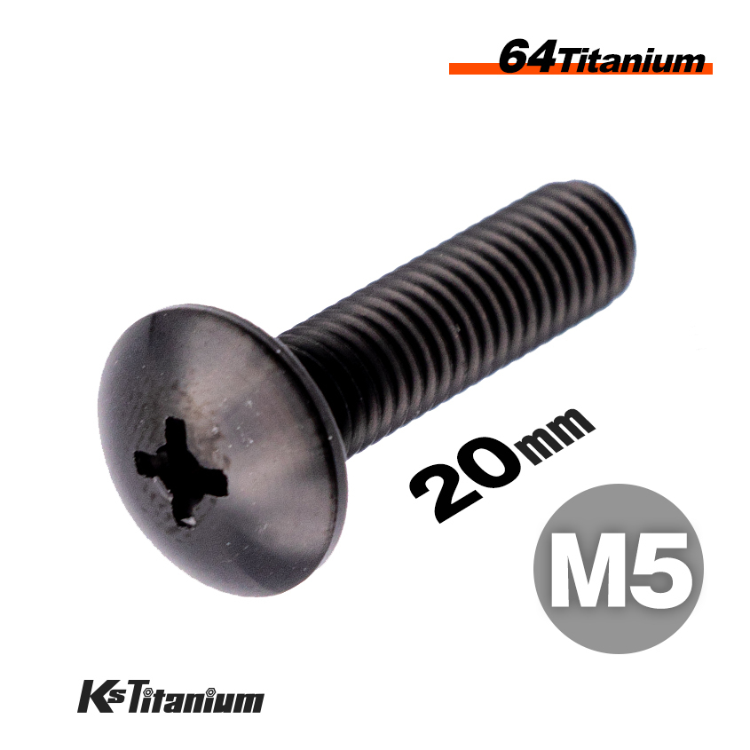 チタンボルト M5×20 全ネジ P0.8 ブラック 1本売り 64チタン トラスヘッドボルト 全ネジ バイク レストア パーツ拍卖