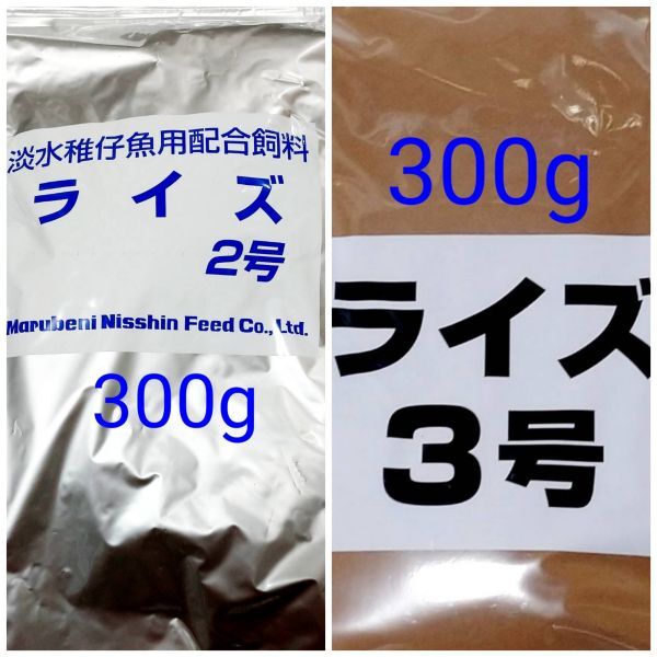 メダカの餌 ライズ2号 ライズ3号 日清丸紅 各300g 熱帯魚 グッピー カラシン 金魚 アクアリウム ベタ 錦鯉 らんちゅう モーリー プラティ拍卖