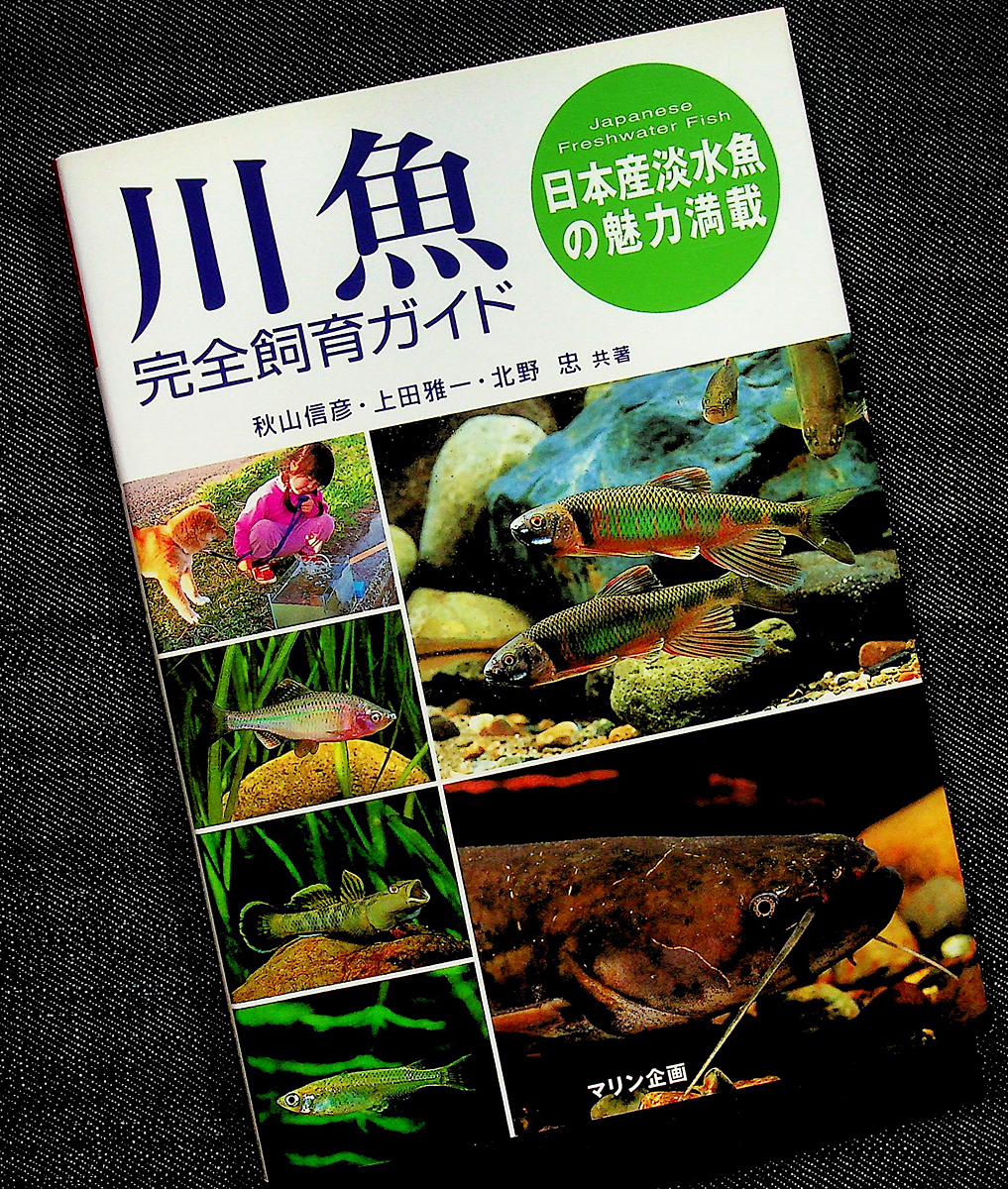 ★美品在庫1即納★川魚完全飼育ガイド-日本産淡水魚の魅力/カラー図鑑 採取 飼い方 水槽 管理 繁殖 コイ メダカ ドジョウ ナマズ ハゼs拍卖