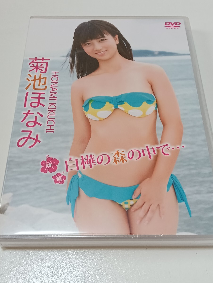 62544)新品 みすずちゃん/菊池ほなみ 白樺の森の中で 正規品拍卖