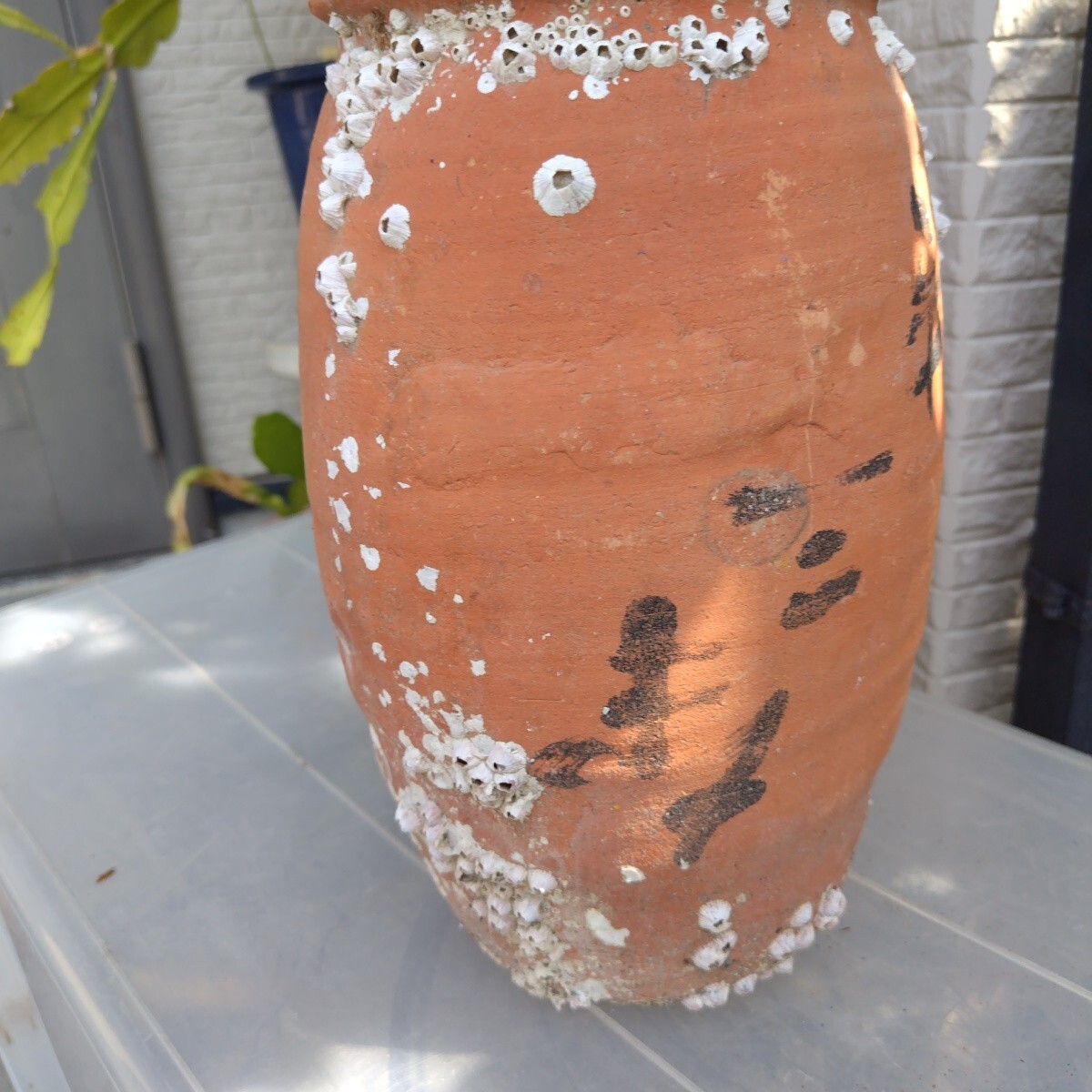蛸壺 インテリア 花壺 置物(中古)拍卖
